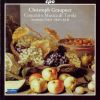 Download track 13. Concerto In C Major GWV 302 - 2. Tempo Giusto
