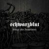 Download track Bis Aufs Blut