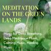 Download track Good Vibes At Night