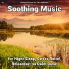 Download track Fantastic Ambient Music To Chill Out