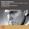 Download track 13. Symphonic Studies (I-VII, XI-XII) Op. 13 And 5 Posthumous Variations XIII. Etüde VII (Variation VI). Allegro Molto