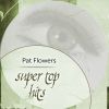 Download track (You're Some) Pretty Doll