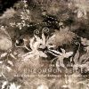 Download track The God Of Single Cell Organisms