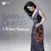 Download track Violin Concerto In G Minor, Op. 12 No. 1, RV 317: II. Largo