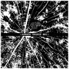 Download track Digital Voodoo