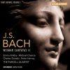 Download track 18 - Bach, J S - Ich Hatte Viel Bekummernis, BWV 21 - Aria - Seufzer, Tranen, Kummer, Not (Soprano)