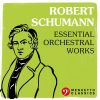 Download track Introduction And Allegro Appassionato In G Major For Piano And Orchestra, Op. 92