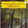 Download track Klaviersonate C-Moll D958 - III. Menuetto (Allegro)