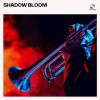 Download track Late Groove