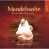 Download track 2. Piano Trio No. 1 Op. 49 In D Minor - II Andante Con Moto Tranquillo