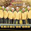 Download track Para Olvidarme De Ti