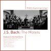 Download track Geist Und Seele Wird Verwirret, BWV 35: I. Sinfonia