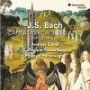 Download track 08 - Widerstehe Doch Der Sünde, BWV 54- III. Aria ''Wer Sünde Tut, Der Ist Vom Teufel''