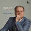 Download track Piano Sonata No. 16 In D Major, Hob. XVI14 I. Allegro Moderato