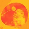 Download track Superlative Ambience For Relaxing Your Dog