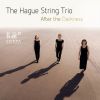Download track String Trio: I. Allegro