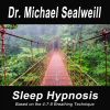 Download track Sleep Hypnosis - Journey To Become Your Ideal Self (Focus By 4-7-8 Fading Away In A Deeper Sleep!)