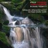 Download track String Quartet In G Minor, Op. 27: II. Romanze: Andantino - Allegro Agitato
