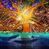 Download track The Tree That Never Saw The Sun