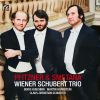 Download track Piano Trio In G Minor, Op. 15 III. Finale. Presto (Live)