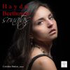 Download track Piano Sonata No. 47 In B Minor, Hob. XVI: 32: I. Allegro Moderato