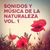 Download track Hojas De Otoño