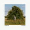 Download track Shorelines