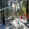 Download track I Got Lost In The Cold Karelian Forest