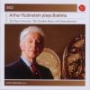 Download track Piano Trio No. 3 In C Minor, Op. 101: I. Allegro Energico