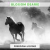 Download track Rhode Island Is Famous For You