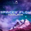 Download track Himalaya