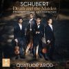 Download track String Quartet No. 14 In D Minor, D. 810, Death And The Maiden II. Andante Con Moto. Variation V