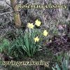 Download track I'm Checkin' Out - Goombye