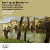 Download track Cello Sonata No. 5 In D Major, Op. 102 No. 2: I. Allegro Con Brio
