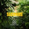 Download track Seconds (Extended Mix)