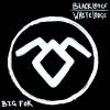 Download track Sycamore Trees
