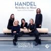 Download track Sonata For Recorder And Continuo In B-Flat Major, HWV 377 I. Allegro (Transcription For Recorder, Violin And Continuo) (Second Imaginary Suite)