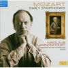 Download track 07. Symphony No. 07 In D Major K. 45 - IV. Molto Allegro