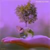 Download track Enjoyable Aspects