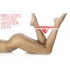 Download track The Ninth Wave (Original Mix)
