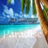 Download track Paradise (Dany BPM Remix)