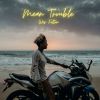 Download track Flamboiyant Tree