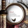 Download track 42. Siegfried, Act III Mein Vöglein Schwebte Mir Fort!