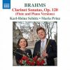 Download track Lieder, Op. 105 (Excerpts Arr. K. H. Schütz For Flute & Piano): No. 2, Immer Leiser Wird Mein Schlummer
