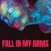 Download track Fall In My Arms