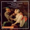 Download track Concerto Grosso No. 6 In D Major: II. Con Furia (After D. Scarlatti's Kk. 29) [1]