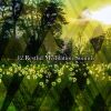 Download track Freshly Enlightened