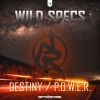 Download track Destiny (Radio Edit)