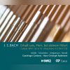 Download track Erhalt Uns, Herr, Bei Deinem Wort, BWV 126 So Wird Dein Wort Und Wahrheit Offenbar