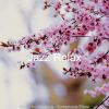 Download track Moment For Working From Home